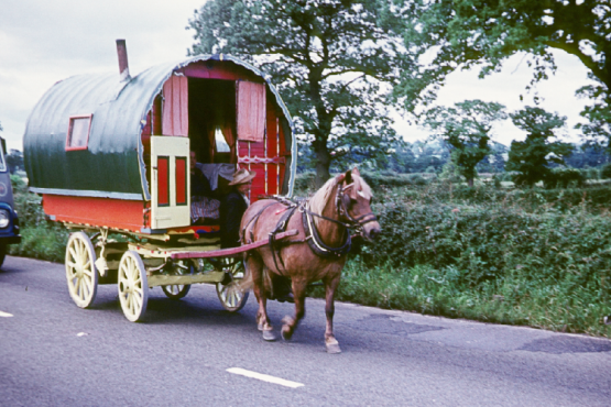 Heritage Traveller caravan and horse on the road